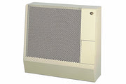 Dru Art 3 Gas Wall Heater