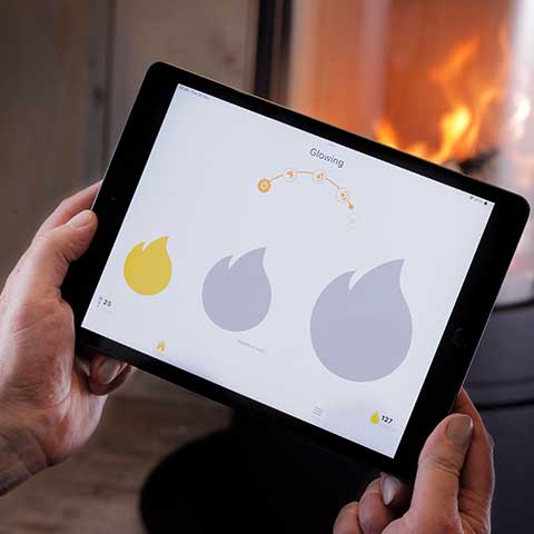 Dik Geurts Orbe wood burning stove