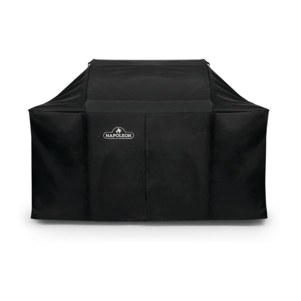 Napoleon Charcoal Professional Cover
