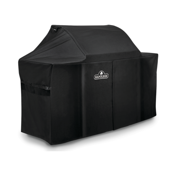 Napoleon Charcoal Professional Cover