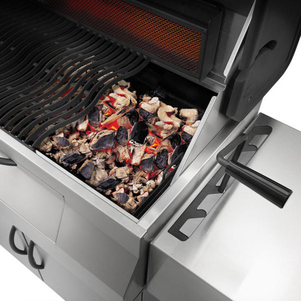Napoleon Charcoal Professional