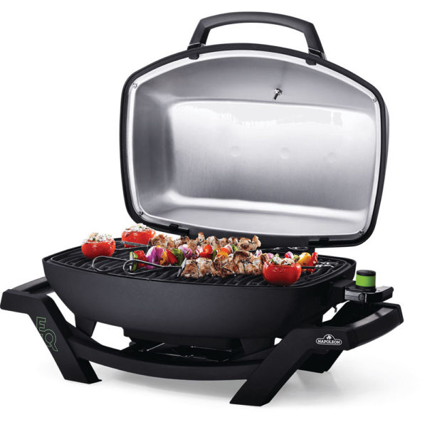 Napoleon TravelQ Pro285E