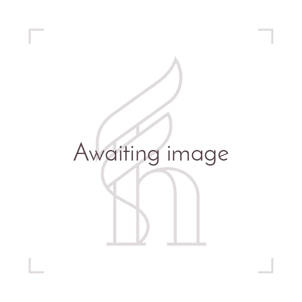 Jotul F105 Ashlip