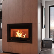 Dru Spartherm Insert Linear XL 900-V2.1 Wood Burning Fire